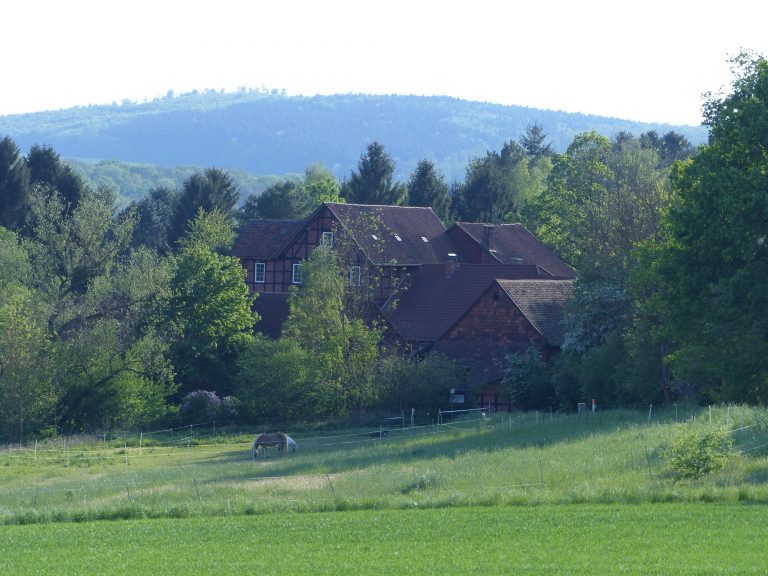Bergmühle Mai 2016 - 1